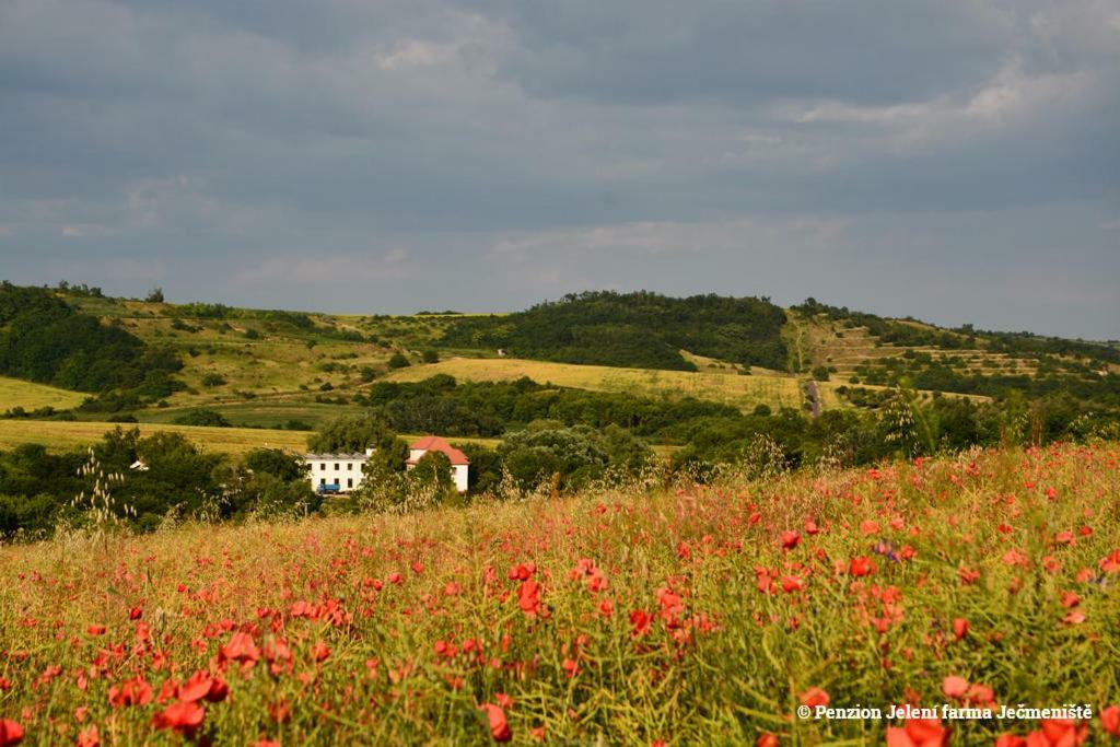 Hotel Jeleni Farma Jecmeniste Vrbovec Exterior foto
